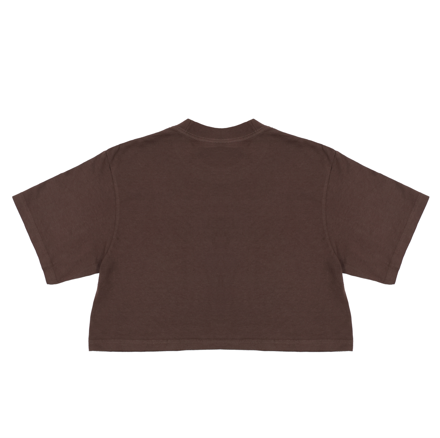 SPRTN Varsity Script Crop Faded Brown